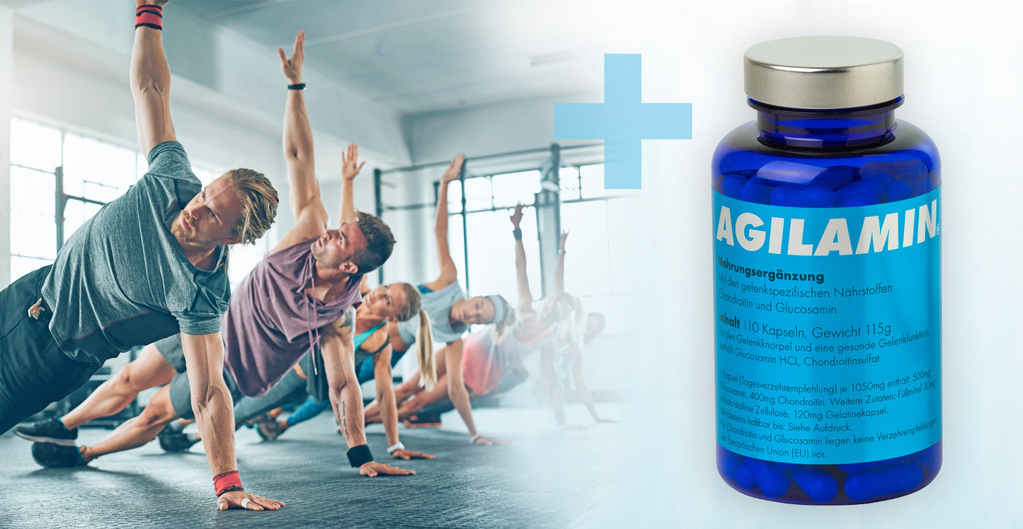 AGILAMIN - 270 Kapseln