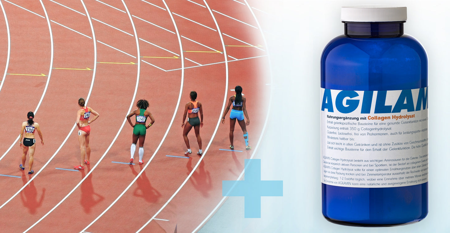 AGILAMIN CH - 350 Gramm Pulver