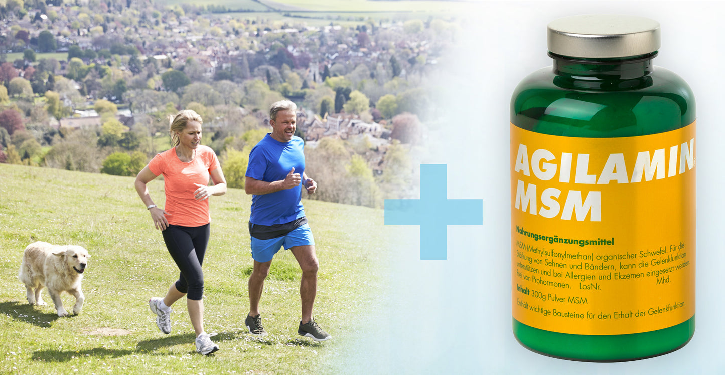 AGILAMIN MSM - 300 Gramm Pulver